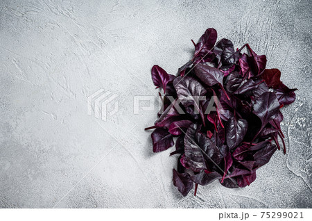 Leaves of Swiss red chard or Mangold salad. White background. Top view. Copy space Leaves of Swiss red chard or Mangold salad. White background. Top view. Copy space 75299021