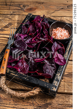 Fresh raw Swiss Ruby or red chard salad Leafs in a wooden tray. wooden background. Top view Fresh raw Swiss Ruby or red chard salad Leafs in a wooden tray. wooden background. Top view 75299125
