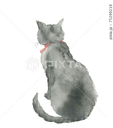 水彩 物思いに耽る猫一匹 後ろ姿 ペット ロシアンブルー 白バック Png コピースペースあり素材のイラスト素材