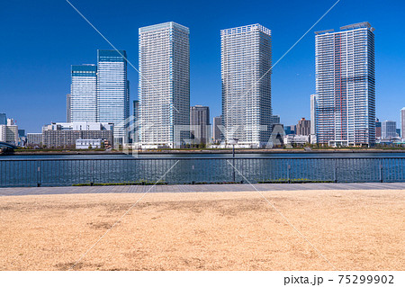 《東京都》晴海・都市風景《東京ベイエリア》 《東京都》晴海・都市風景《東京ベイエリア》 75299902