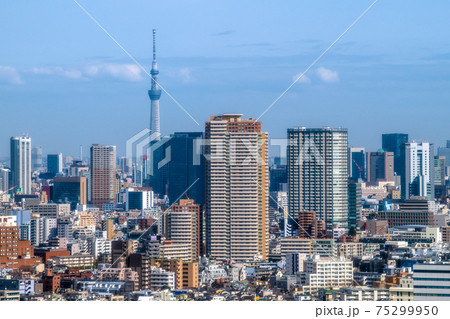 日本の東京都市景観 東京スカイツリーや新宿のタワーマンションなどを望む 日本の東京都市景観 東京スカイツリーや新宿のタワーマンションなどを望む 75299950