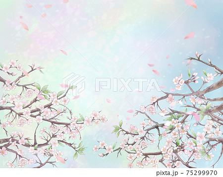 桜と花びらの背景イラスト1 カラー背景のイラスト素材