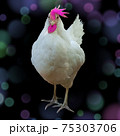 Punk pink hen Punk pink hen 75303706