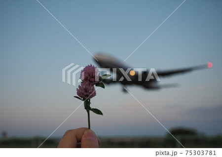 飛行機に手が届きそう 75303781