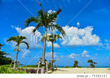 宮古島にある与那覇前浜ビーチの絶景 75305157