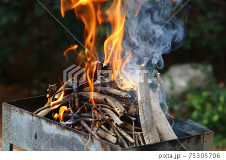 Burning firewood with a bright flame in an iron grill after setting fire to frying meat kebabs. A picnic in a forest glade	 75305706