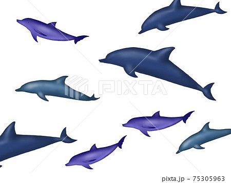 泳ぐイルカの群れのイラスト素材