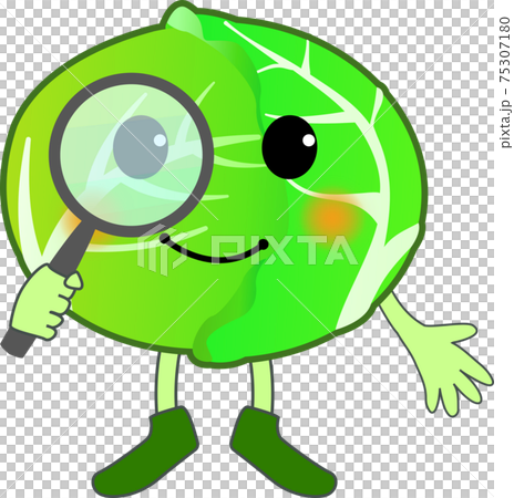 調べる可愛いキャベツのキャラクター 75307180