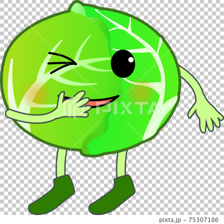笑可愛的白菜字符 75307186