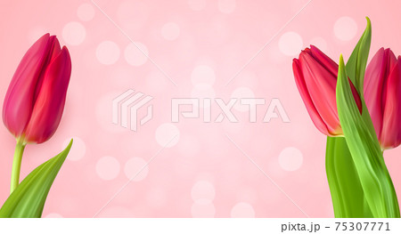Realistic Natural Tulips Flower Background. Vector Illustration 75307771