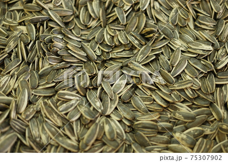 Dried sunflower seeds texture. Dried sunflower seeds texture. 75307902