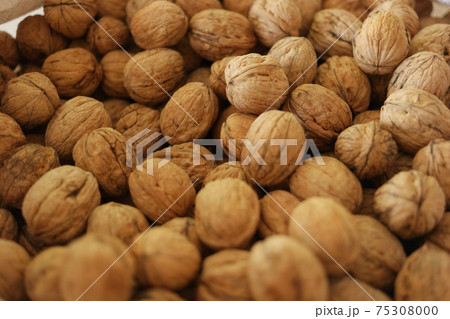 Pile of walnuts at the farmers market. Pile of walnuts at the farmers market. 75308000