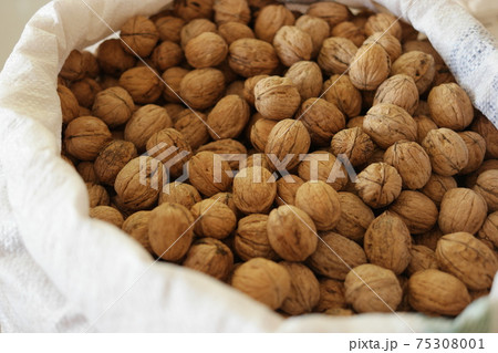 Big shelled walnuts close up. 75308001