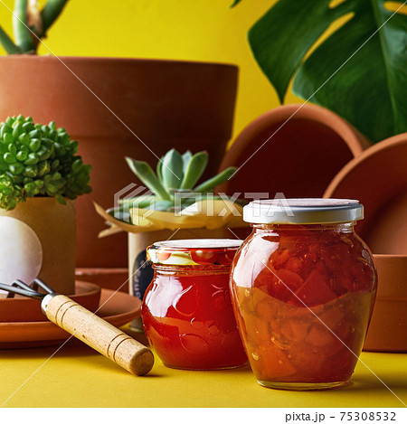 Plant for decoration in a pot. clay pots in assortment for gardening on a yellow background Plant for decoration in a pot. clay pots in assortment for gardening on a yellow background 75308532