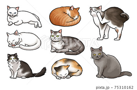 手描きベクター動物イラスト素材 8種類の猫のイラストセットのイラスト素材