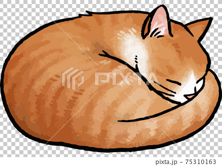 手描きベクター動物イラスト素材 丸くなって眠る茶トラ白猫のイラスト アンモニャイト のイラスト素材