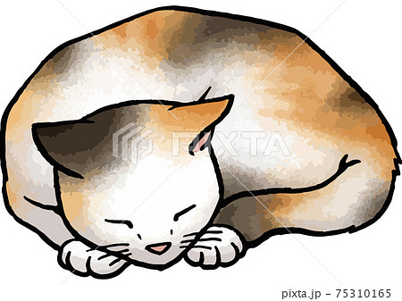 手描きベクター動物イラスト素材 丸くなって眠る三毛猫のイラストのイラスト素材