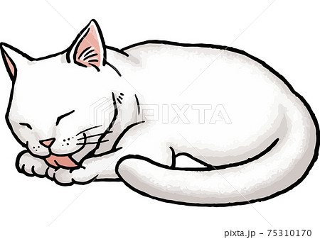 手描きベクター動物イラスト素材 毛づくろいをしている白猫のイラストのイラスト素材