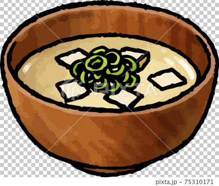 [Hand-drawn vector food illustration material] Illustration of tofu white miso soup 75310171