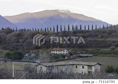 snow-covered Monte Baldo snow-covered Monte Baldo 75310795
