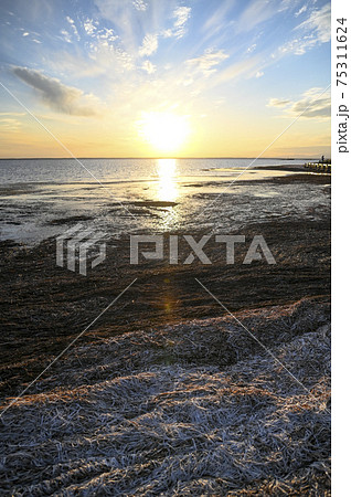 秋の夕暮れ　トドワラ 75311624