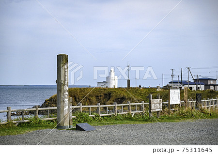 北海道根室市　秋の納沙布岬 75311645