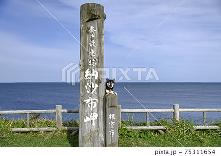 北海道根室市　納沙布岬の黒柴 75311654