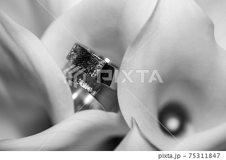 Close view on calla flowers with wedding rings in monochrome colors 75311847