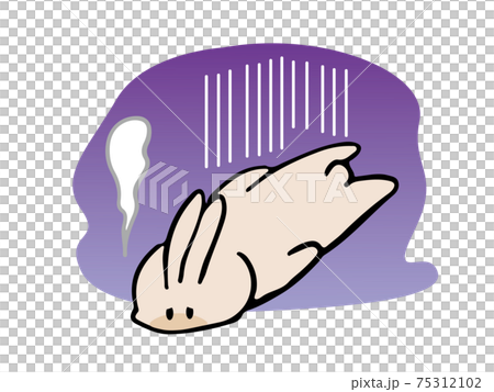 鬱悶的兔子 75312102