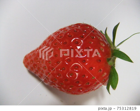 イチゴ イチゴ 75312819