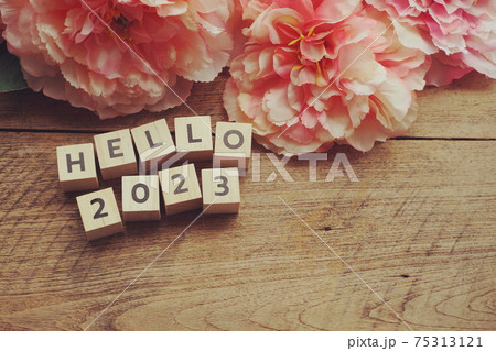 Hello 2023 alphabet letter with space copy on wooden background Hello 2023 alphabet letter with space copy on wooden background 75313121