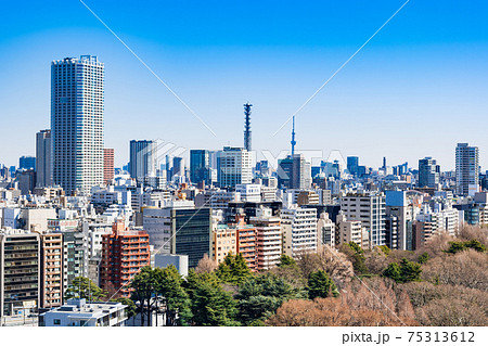 東京 新宿から見る都心部とスカイツリーの写真素材