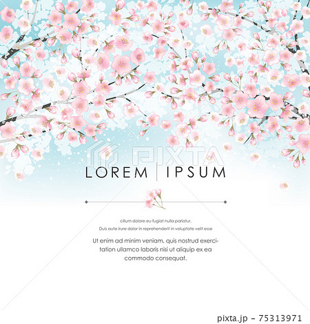 Vector illustration of spring landscape with cherry trees in full bloom. Design for social media, party invitation, Print, Frame Clip Art and Business Advertisement and Promotion 75313971