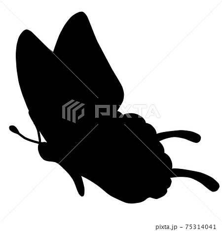 アゲハ蝶のイラスト素材