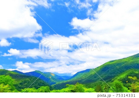 大空と新緑の不忘山山麓 大空と新緑の不忘山山麓 75314331
