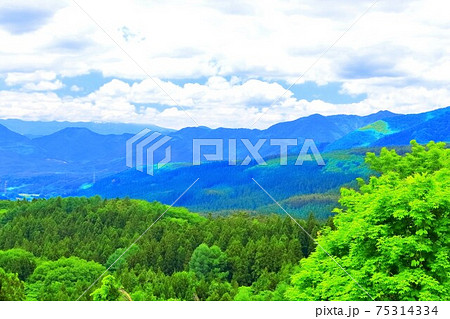 新緑の不忘山山麓 新緑の不忘山山麓 75314334