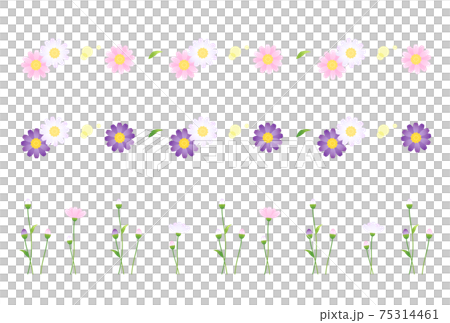 ミヤコワスレ 75314461