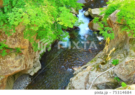 新緑の磊々峡 新緑の磊々峡 75314684