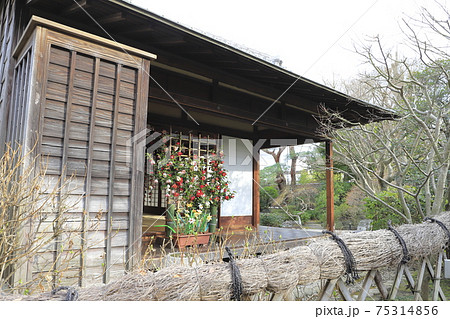 一茶双樹記念館 双樹亭 千葉県流山市 一茶双樹記念館 双樹亭 千葉県流山市 75314856
