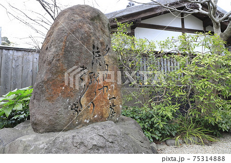 一茶双樹記念館　小林一茶の句碑　千葉県流山市　 75314888