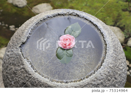 一茶双樹記念館 水鉢（手水鉢）千葉県流山市 の写真素材 [75314964 
