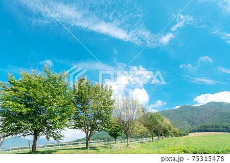 蒜山高原周辺の夏景色 蒜山高原周辺の夏景色 75315478