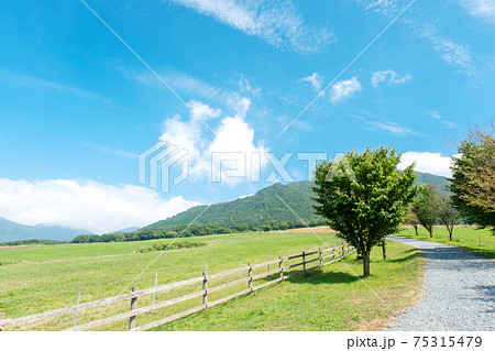 蒜山高原周辺の夏景色 蒜山高原周辺の夏景色 75315479