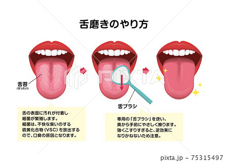 舌磨き 舌掃除のやり方 ベクターイラスト 口臭予防 のイラスト素材