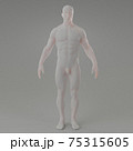 3d rendering illustration of muscle 75315605