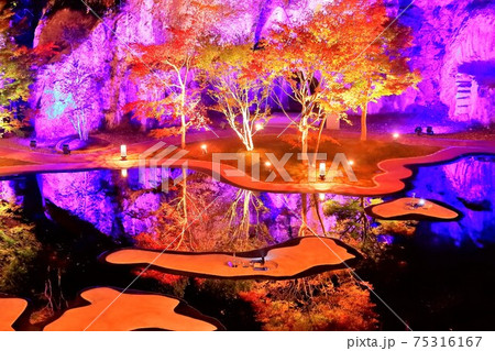 松島離宮のライトアップ 75316167