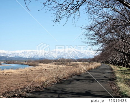 新潟県 早春 残雪風景 新潟県 早春 残雪風景 75316428