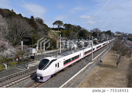 偕楽園と東京へ向かう特急電車 偕楽園と東京へ向かう特急電車 75316431