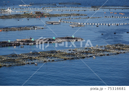 養殖筏 養殖筏 75316681