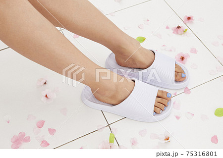 女性 女 女の子 75316801